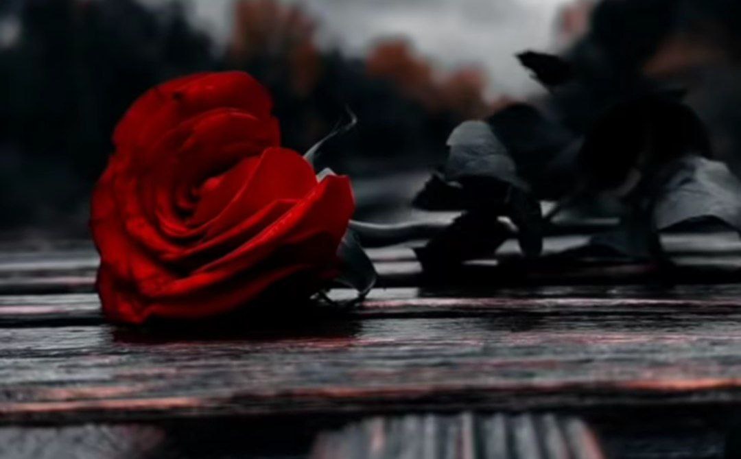 با یه لبخند طلایی همه ی زمین میلرزه صدای زن